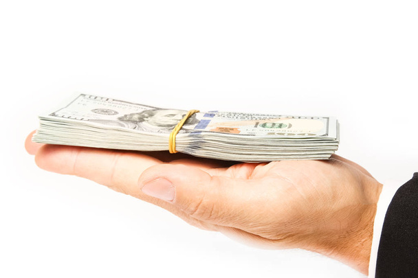 Business Money dollars in the hands on a white background - Photo, image