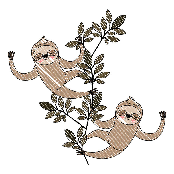 wild sloths couple in the jungle - Vector, Image