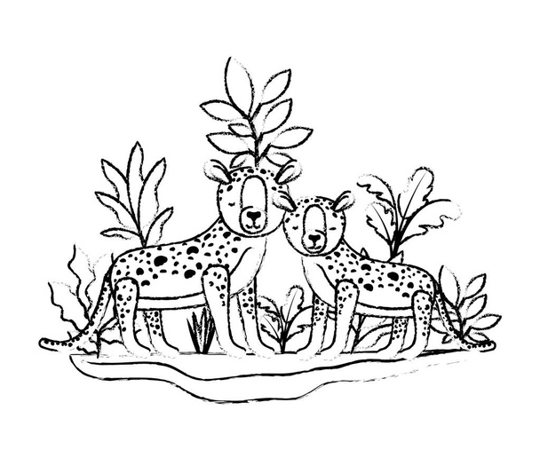 wild cheetahs in the jungle - Vector, Image