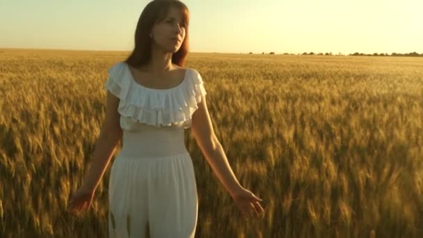 woman traveling across a field with golden wheat against the sky. organic wheat. A beautiful girl walks through a field of ripe wheat and touches the ears with her hands. Slow motion. - Πλάνα, βίντεο