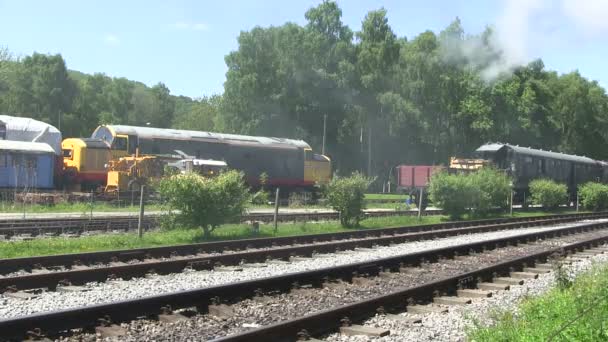 Steam train running on a preserver line. - Footage, Video