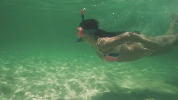 ビキニの美しい女の子はシュノーケリング、水中で泳ぐ、透明な、青いカリブ海の海水でシュノーケリングです. - 映像、動画