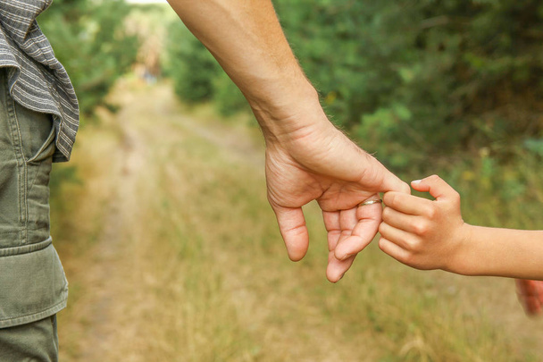 mãos elegantes de um pai e uma criança na natureza em um parque atrás
 - Foto, Imagem