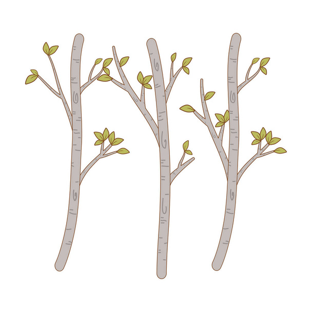 őszi fák erdei jelenet - Vektor, kép