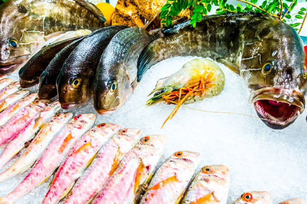Pesce sul ghiaccio in un ristorante di pesce
 - Foto, immagini