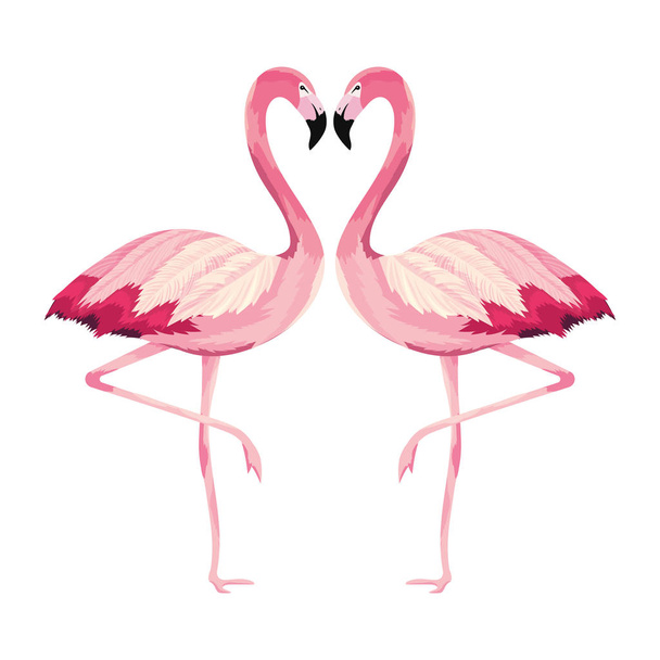 trooppinen flamingos sarjakuva
 - Vektori, kuva