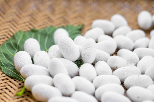 white silk cocoon - Photo, Image