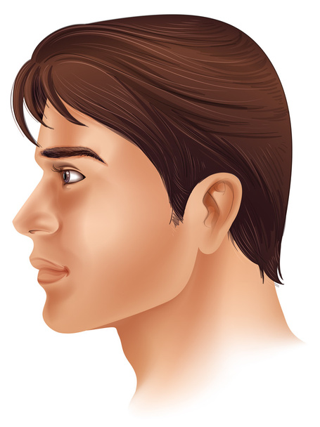 A side view of a man's face - Vector, Image