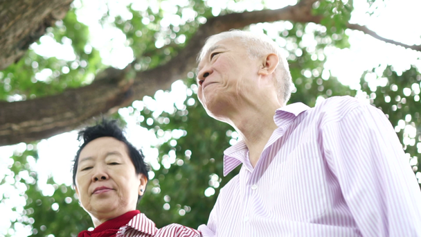 アジアの老夫婦が自然の背景で一緒に肩を並べて休む - 映像、動画