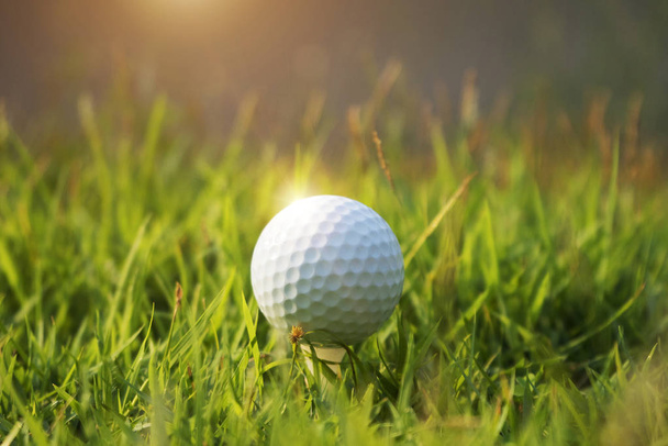 Bola de golfe na grama verde em belo campo de golfe ao pôr do sol de volta
 - Foto, Imagem