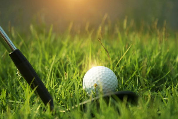 Golf club e pallina da golf su erba verde nel campo da golf serale
 - Foto, immagini