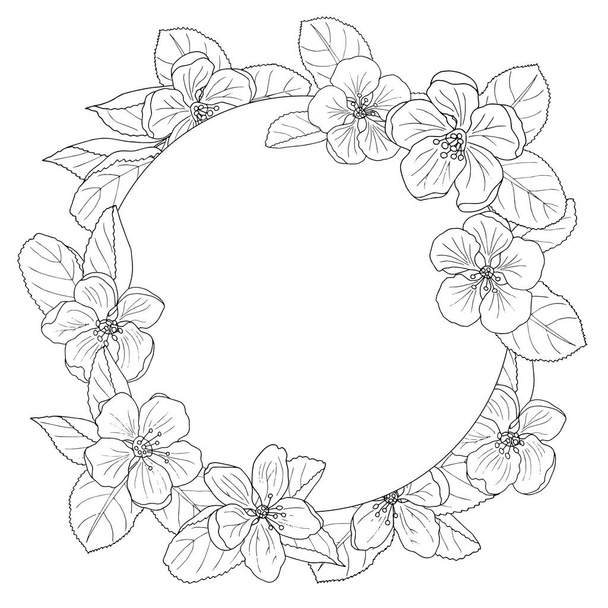 Apple blossom frame, coloring page - Vector, imagen
