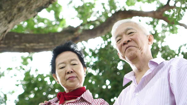 asiatische Senioren-Paar glücklich im Park niedrig Winkel Blick auf Kamera - Filmmaterial, Video