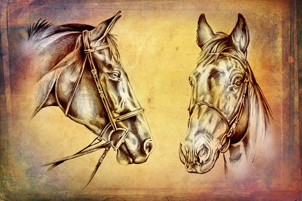 ελεύθερο άλογο κεφάλι τέχνη εικόνα - Φωτογραφία, εικόνα