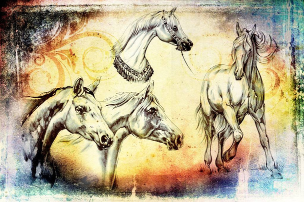 ilustración de arte cabeza de caballo a mano alzada
 - Foto, imagen
