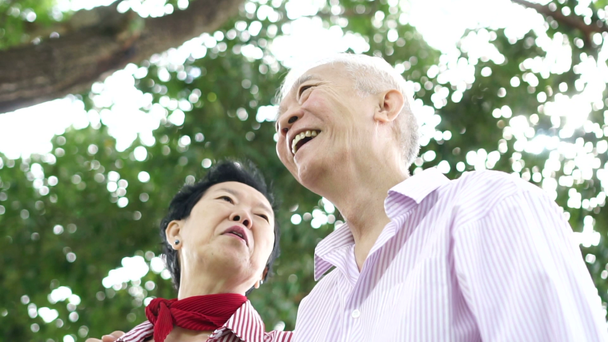 Aziatische Senior paar hebben leuke coversation ontspannen dag in Park - Video