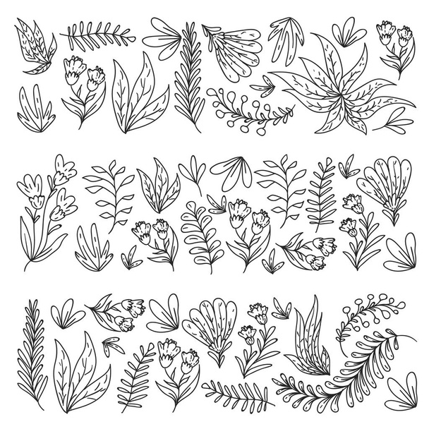 Hand vector drawn floral, leaves elements. Pattern for logo, greeting card, wedding design. - Vetor, Imagem
