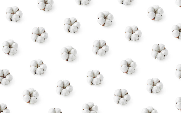 Pattern of cotton flowers isolated on white background - Foto, Imagem