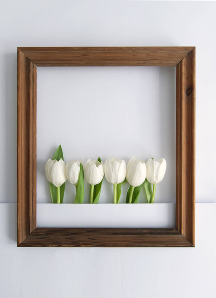 Spring tulip frame - Fotoğraf, Görsel
