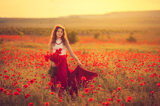 The girl in a poppy field - 写真・画像