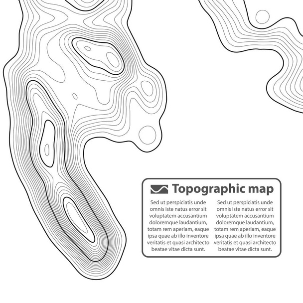 Topographic map background. Grid map. Contour. Vector illustration. - Vector, Image
