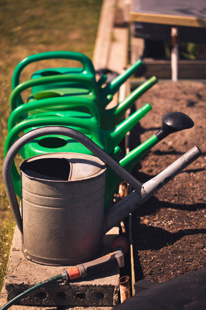 different colorful watering cans in a row in the garden - Photo, Image