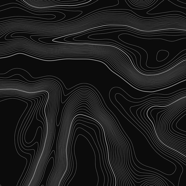 Topographic map background. Grid map. Contour. Vector illustration. - Vector, Image