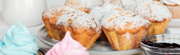 panoramic shot of muffins decorated with powdered sugar on plate - Foto, Bild
