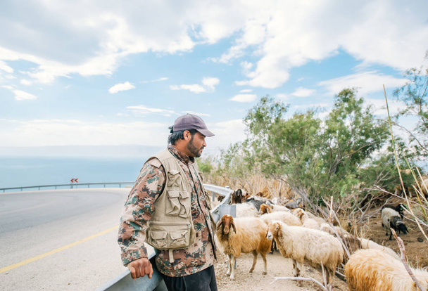 pastor e rebanho de ovelhas - Foto, Imagem