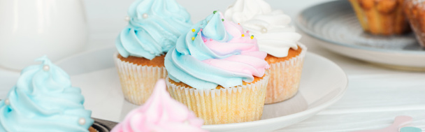 panoramic shot of colorful cupcakes with frosting on plate - Фото, изображение