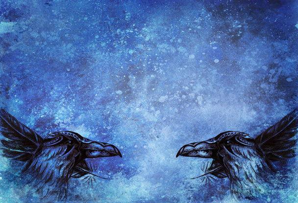 Dibujo de cuervo ornamental con plumas sobre papel. Efecto de color
. - Foto, Imagen