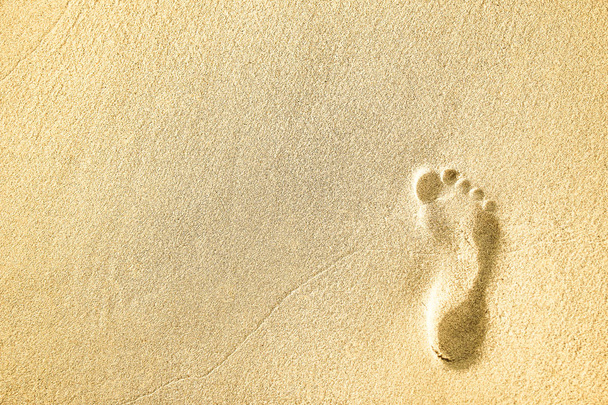 beautiful footprints in the sand near the sea on nature backgrou - Foto, immagini