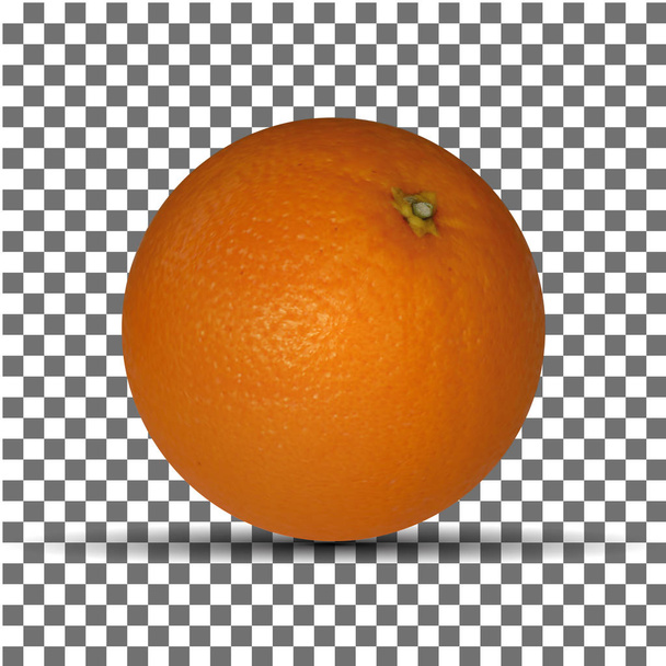 Vektorillustration von Orangen.Vektorillustration von Fruchtorangen. - Vektor, Bild