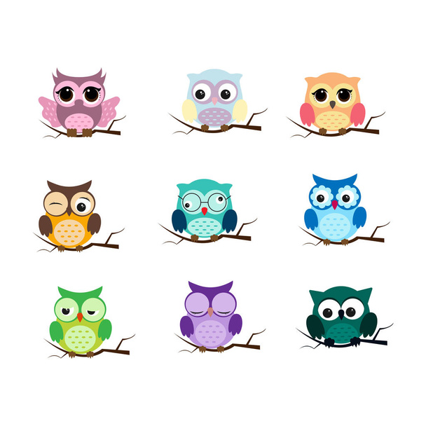 Group of birds. Owls night birds with big eyes. Colorful illustration - Vector, afbeelding