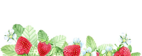 Sweet summer berries - Photo, image