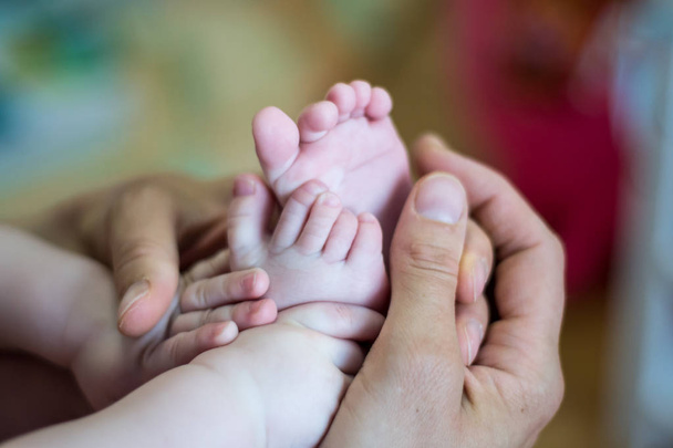 baby feet in hands - 写真・画像