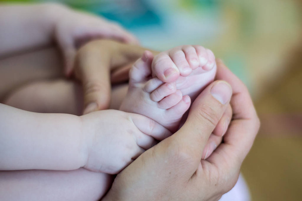 baby feet in hands - Φωτογραφία, εικόνα