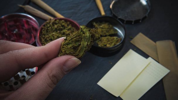 Marijuana weed in the females hand. Marijuana buds in the grinde - Foto, Imagem