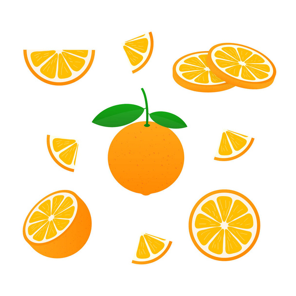 Naranja con hojas enteras y rodajas de naranjas. Ilustración vectorial de naranjas
. - Vector, imagen