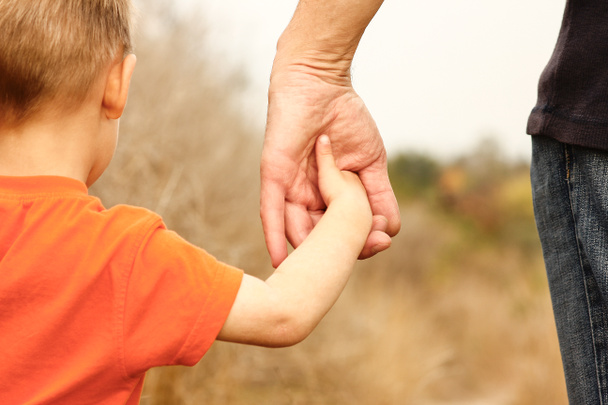 όμορφα χέρια ενός ευτυχικού παιδιού και γονέα στο φυσικό πάρκο - Φωτογραφία, εικόνα