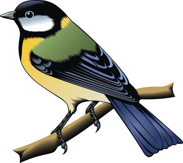 Pájaro colorido
 - Vector, Imagen