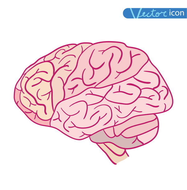 Ανθρώπινο εικονίδιο του εγκεφάλου, διανυσματική απεικόνιση. - Διάνυσμα, εικόνα