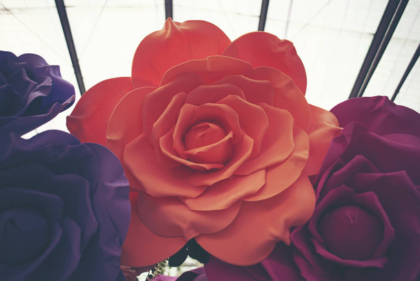 duża róża na Walentynki - Zdjęcie, obraz