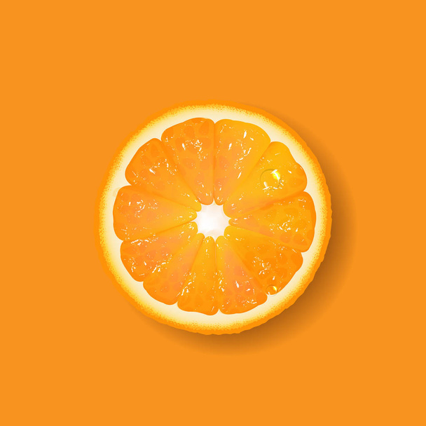 Banner With Fruit Orange With Gradient Mesh, Vector Illustration - ベクター画像
