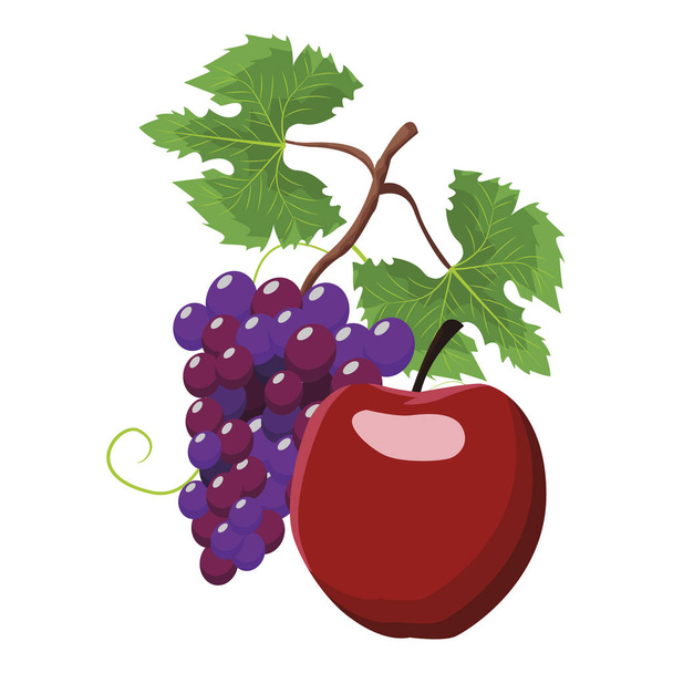 Uvas e frutos de maçã
 - Vetor, Imagem