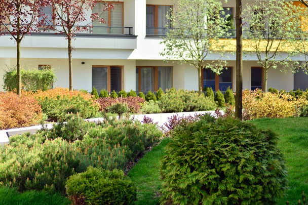 Ornamental shrubs and plants near a residential city house - Photo, Image