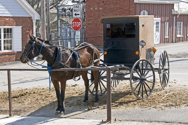 Amish Pferd und Buggy - Foto, Bild