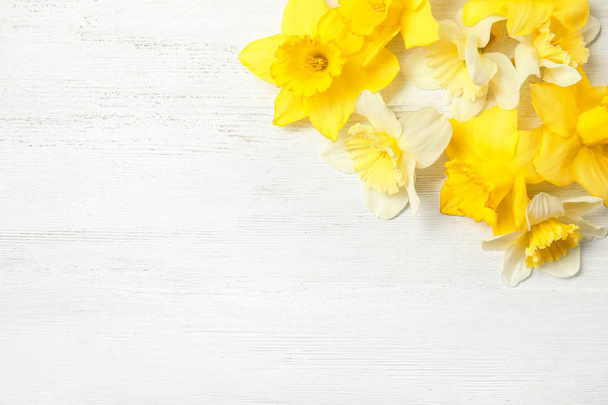 Flat lay composition with daffodils and space for text on white wooden background. Fresh spring flowers - Фото, изображение
