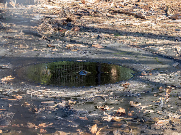 Тарелка яма окружена листьями снаружи с пузырьком установлен лопнуть
 - Фото, изображение