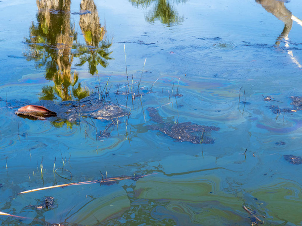 油や破片で汚染されたヤシの木の反射を持つ熱帯水 - 写真・画像
